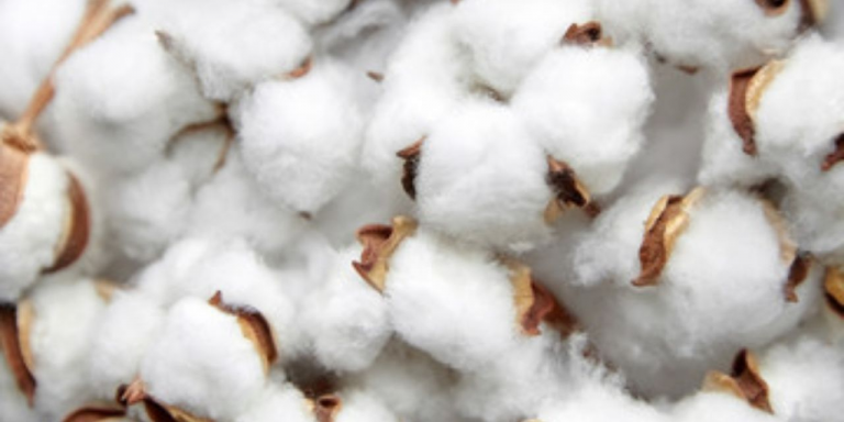 Recycled Cotton Supplier